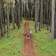 Vue aérienne sur des personnes faisant du vélo en montagne 