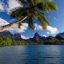 Air Tahiti Nui Moorea MLennan