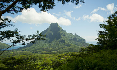 Moorea entroterra
