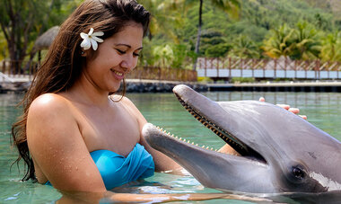 Air Tahiti Nui Tiare dauphin McLennan