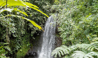 Jardins d'eau de Vaipahi