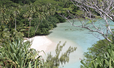 Air Tahiti Nui Huahine TumaDesign