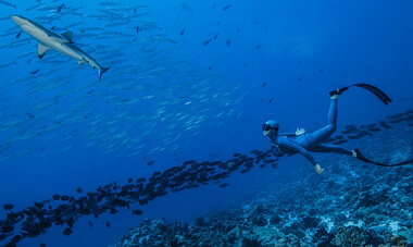 Air Tahiti Nui Freediving VTruchet