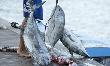 Air Tahiti Nui Fishing TTourisme