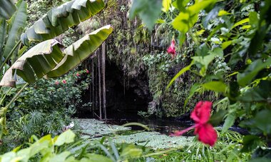 entrée d'une grotte à Tahiti