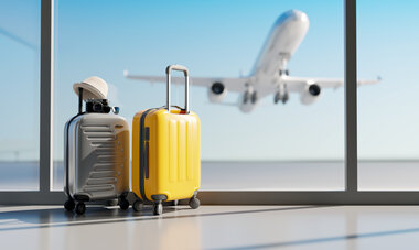 Valises