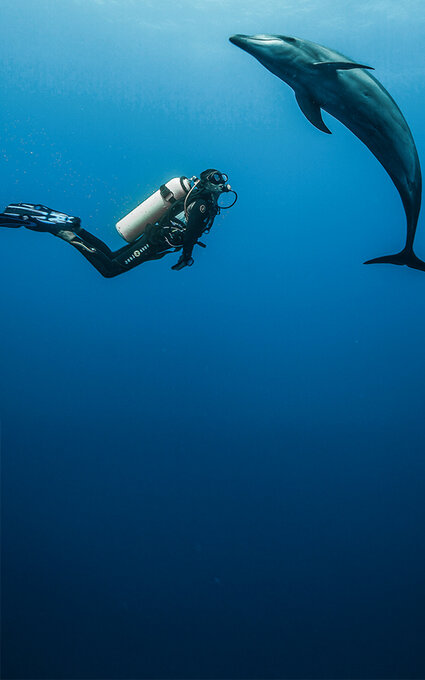 Air Tahiti Nui dauphin diving BThouard