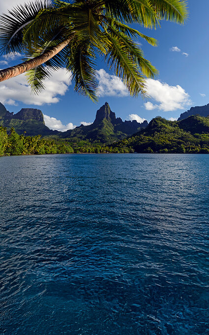 Air Tahiti Nui Moorea MLennan