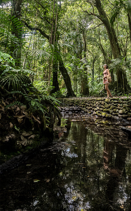 Air Tahiti Nui jardin botanique excursion SMailion