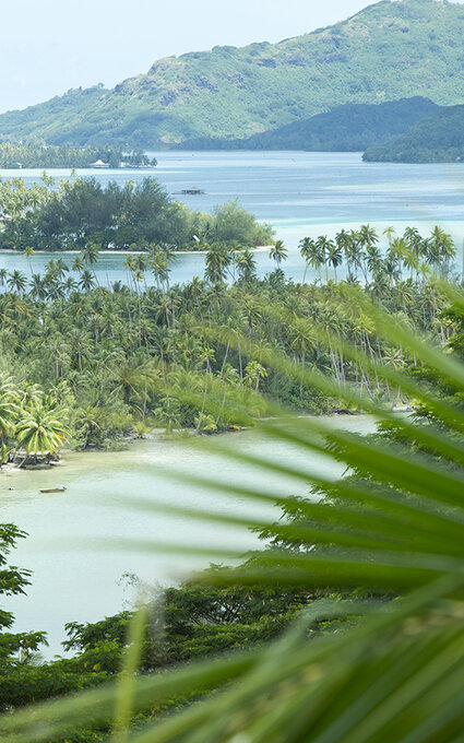Air Tahiti Nui Huahine TTourisme